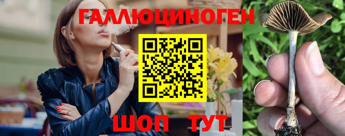 Галлюциногенные грибы Psilocybine cubensis  Вход с VPN  Псилоцибиновые грибы ЛСД  Звенигород 